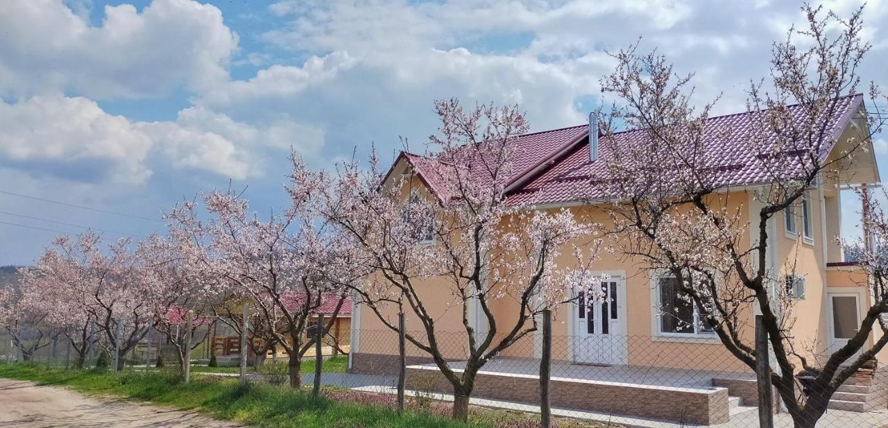 Вилла Conacul Mierii Straseni Экстерьер фото